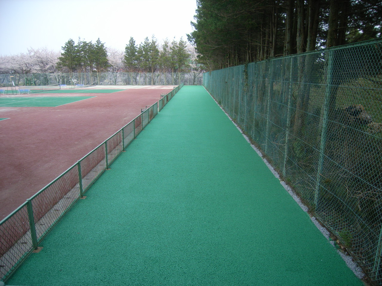 H29養老公園テニスコート舗装